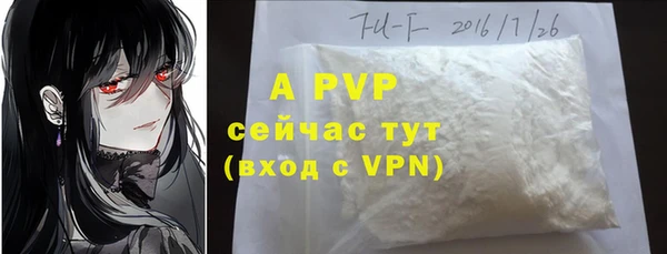 прущие грибы Богородицк