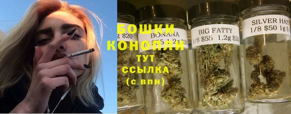 прущие грибы Богородицк