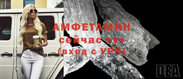 прущие грибы Богородицк